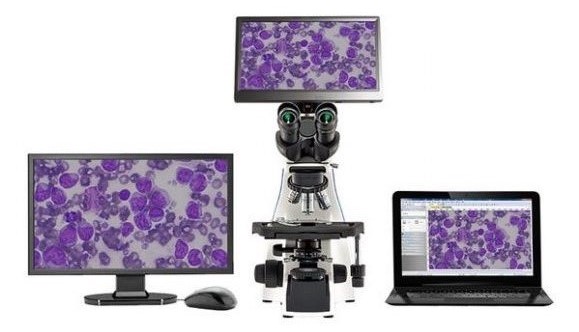Cámara microscopio
